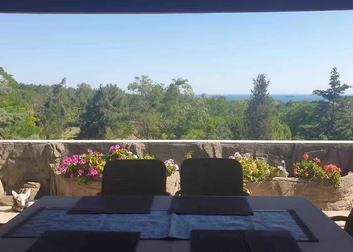Peaceful Hometown With Perfect Sea And Forest View