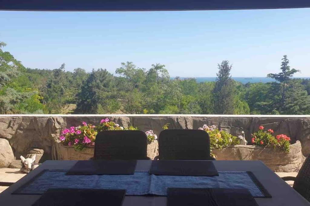 Peaceful Hometown With Perfect Sea And Forest View Appartement