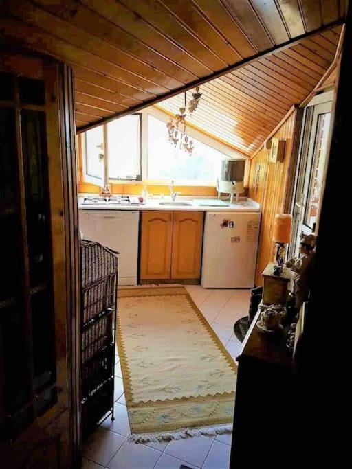 Peaceful Hometown With Perfect Sea And Forest View Appartement Istambul
